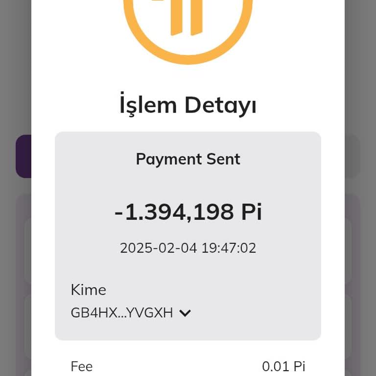 Hesabımdan İzinsiz Transfer Skandalı