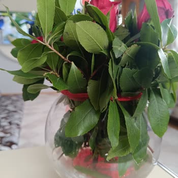 Çiçek Sepeti'nden Gelen Hayal Kırıklığı: Solmuş Güller Ve Yanlış İsim