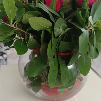 Çiçek Sepeti'nden Gelen Hayal Kırıklığı: Solmuş Güller Ve Yanlış İsim