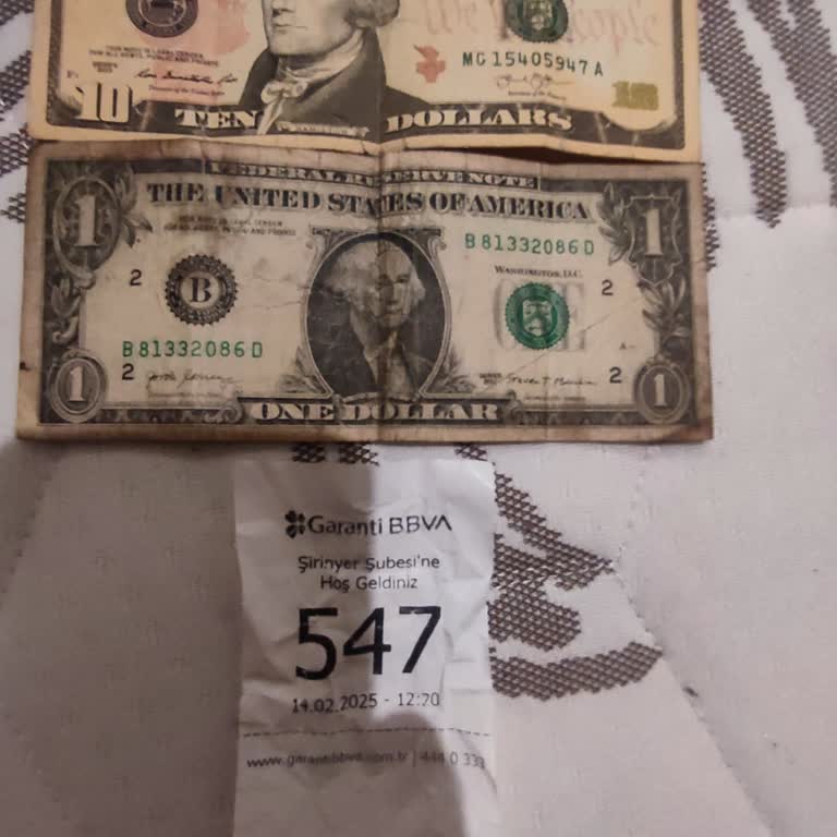 Garanti BBVA Eski Dolar Krizi
