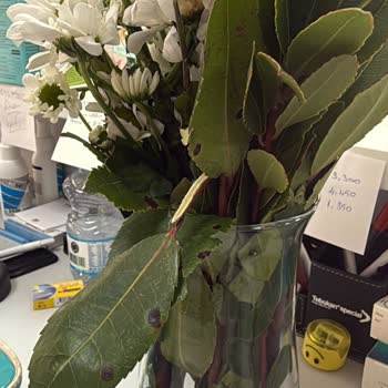 Çiçek Sepeti'nden Gelen Hayal Kırıklığı: Rezil Oldum!