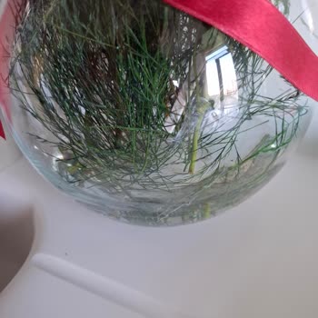 Çiçek Sepeti Eksik ve Özensiz Gönderim Sorunu