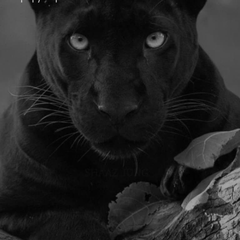 Kuryenet İle Kargo Takibi Kabusu