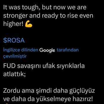 Rosa Coin Yakım Ve Listeleme Belirsizliği