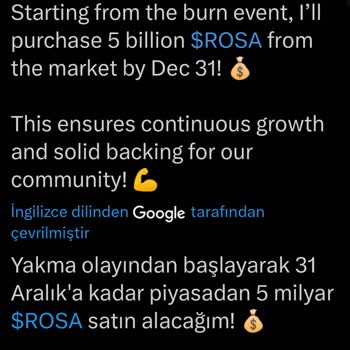 Rosa Coin Yakım Ve Listeleme Belirsizliği