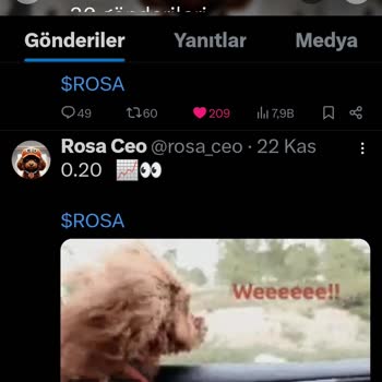 Rosa Coin Yakım Ve Listeleme Belirsizliği