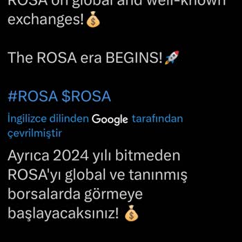 Rosa Coin Yakım Ve Listeleme Belirsizliği
