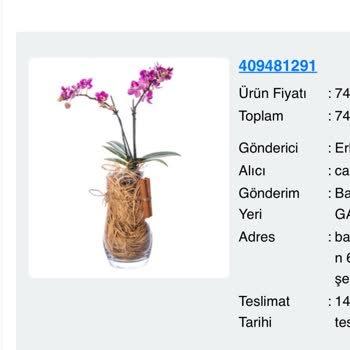 Çiçek Sepeti'nde Hayal Kırıklığı: Sipariş Sorunu