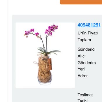 Çiçek Sepeti'nde Hayal Kırıklığı: Sipariş Sorunu