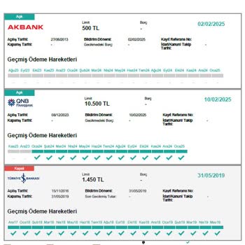 Küçük Borç Büyük Sorun: TEB Sicilimi Temizlemiyor