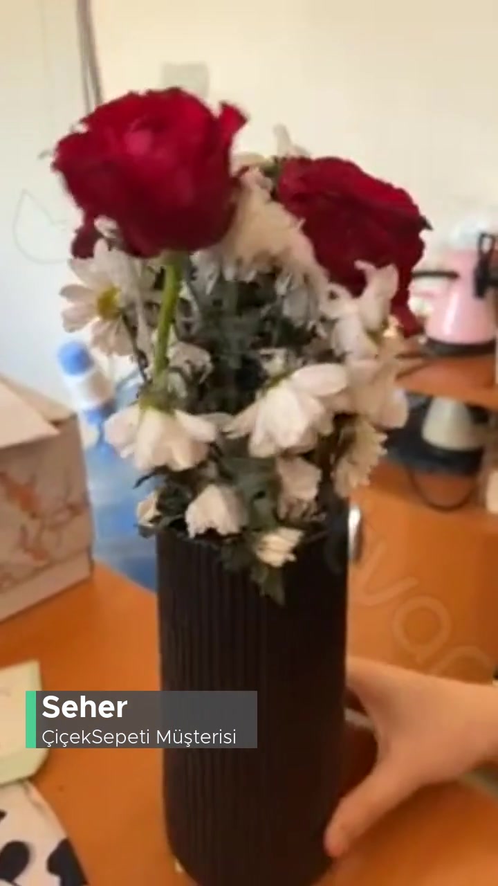 Çiçek Sepeti'nden Almış Olduğumuz Çiçeklerin Solmuş Bir Şekilde Gelmesi! videonun kapak resmi