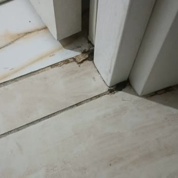 Sürekli Su Sızıntısı Olan Ev Satışı