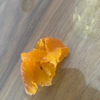 A101 Çerezya Kuru Kayısıda Böcek Şoku