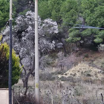 Yangın Sonrası İnternet Kesintisi Mağduriyeti