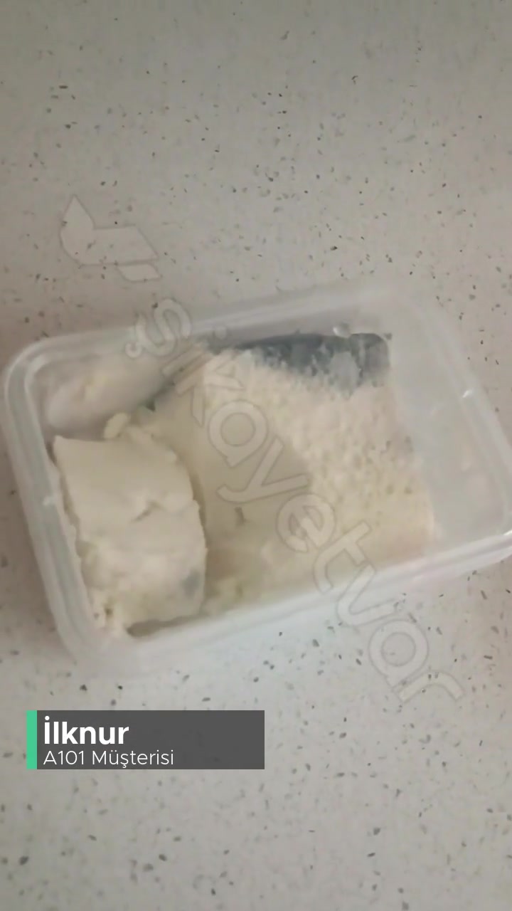 A101 Milkten Kaymak Problemi videonun kapak resmi