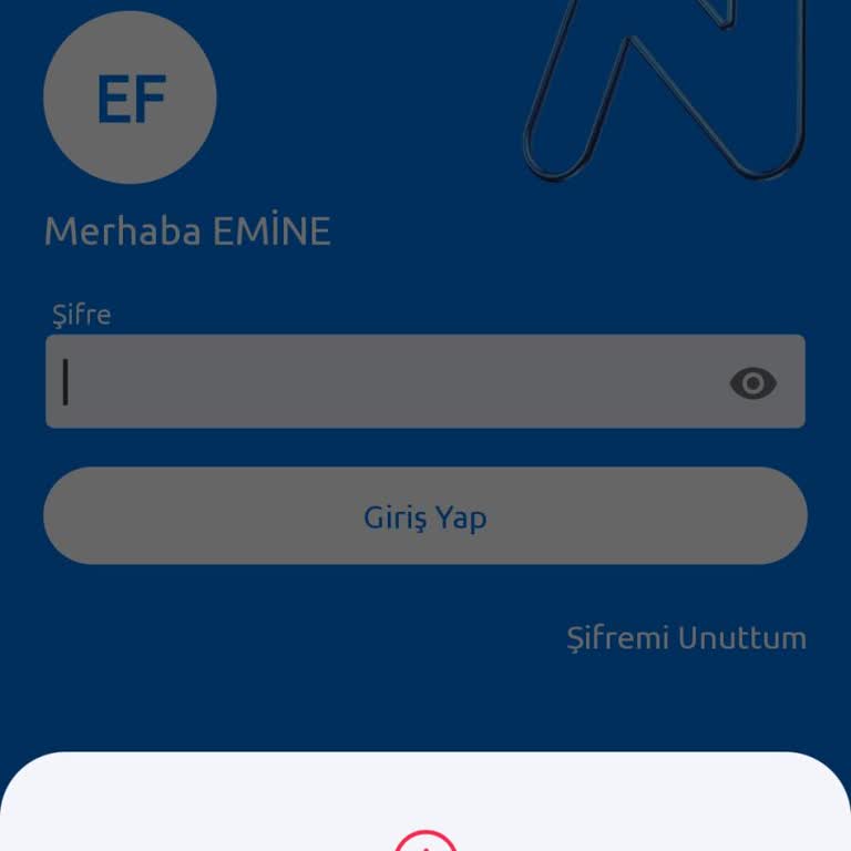 Acil Transfer Sorunu Ve Hesap Kısıtlaması
