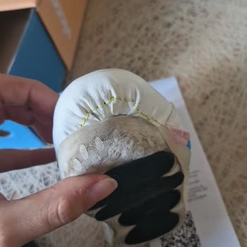 Vicco Kar Botlarının Sorunlu Tabanı