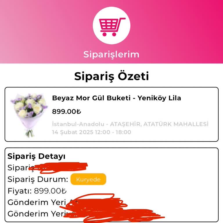 Geç Teslimat Nedeniyle Hayal Kırıklığı