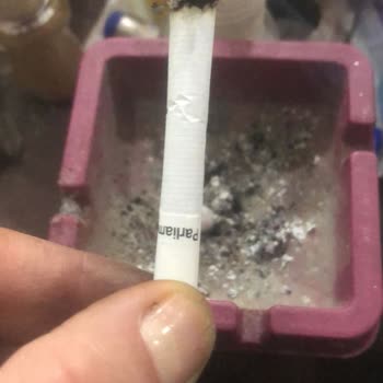 Philip Morris Sigaralarında Tütün Yerine Farklı Maddeler Çıkması