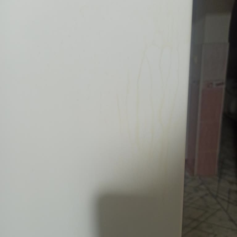 Bosch Buzdolabında Boya Ve Yapısal Sorunlar