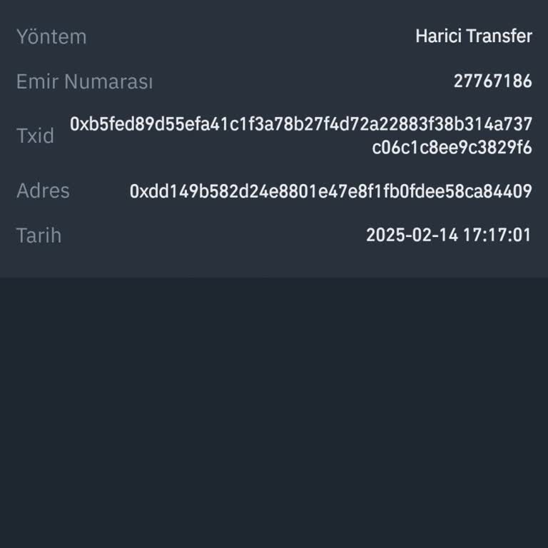 Binance TR'den USDT Transfer Sorunu