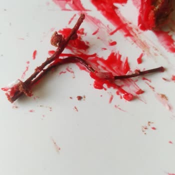 Pastanın İçinden Tel Toka Çıktı!