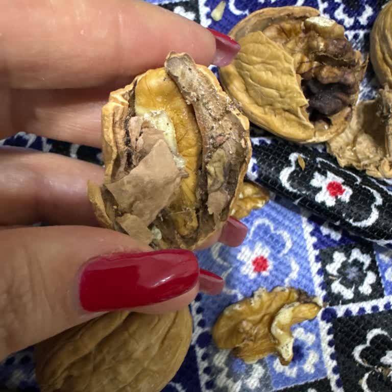 Can Kuruyemiş'ten Aldığım Cevizlerin Kalitesi Hayal Kırıklığı Yarattı