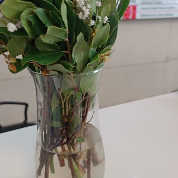 Yanlış Ürün Ve Kötü Müşteri Hizmetleri Deneyimi