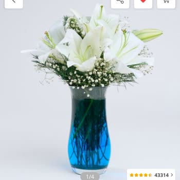 Yanlış Ürün Ve Kötü Müşteri Hizmetleri Deneyimi