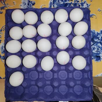 Yanıltıcı Etiketleme: L Boy Yumurta Skandalı