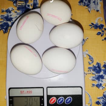 Yanıltıcı Etiketleme: L Boy Yumurta Skandalı