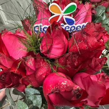 Çiçek Siparişi Teslimatında Büyük Hayal Kırıklığı