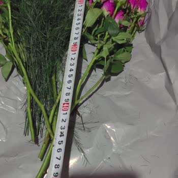 Yanlış Ürün Teslimatı Ve İade Sorunu