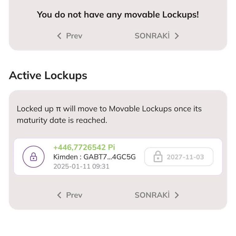 Pi Coin Hesabımda Uzun Süreli Kilitlenme Sorunu