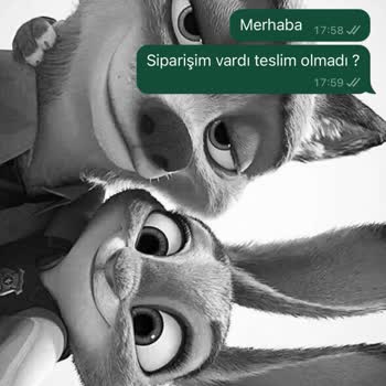 Hızlı Çiçek'te Sipariş Sorunu Ve Ulaşılmaz Müşteri Hizmetleri