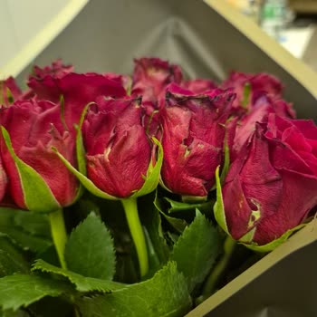 Çiçek Sepeti'nde Hayal Kırıklığı: Gönderilen Çiçekler Beklentiyi Karşılamıyor