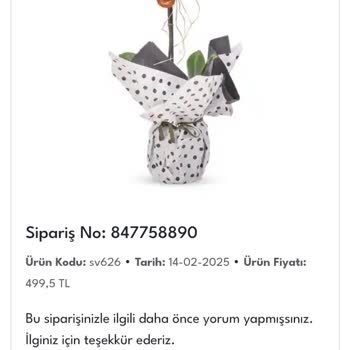Sevgililer Günü'nde Kırık Orkide Şoku