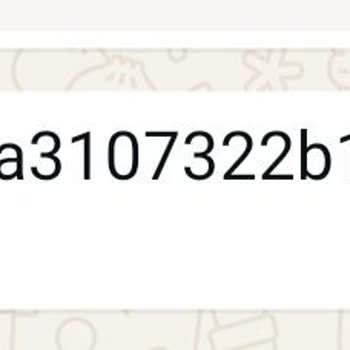 Biance TR Güvenlik Açığı Nedeniyle Maddi Kayıp