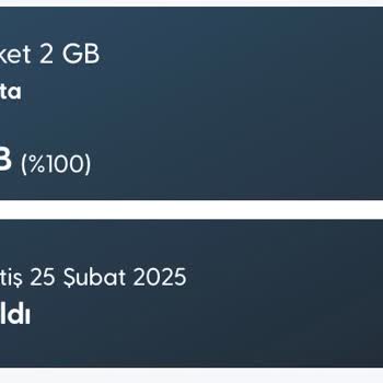 Yurt Dışı Paketinin Kullanılamaması
