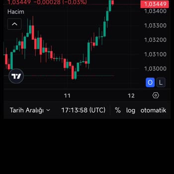 Yanıltıcı Yatırım Vaadiyle Maddi Kayıp: Çıkış Yolu Arayışı