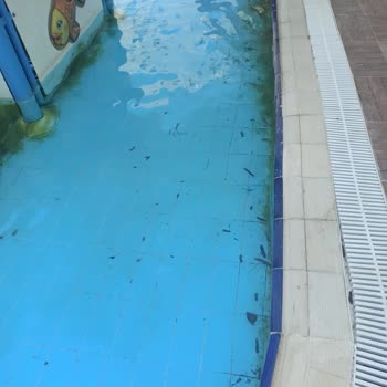 Tatil Deneyimi ve Beklentiler