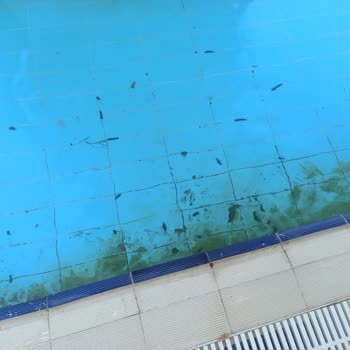 Tatil Deneyimi ve Beklentiler