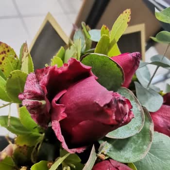 Çiçek Sepeti'nden Gelen Hayal Kırıklığı: Çürük Güller Ve İlgisiz Hizmet