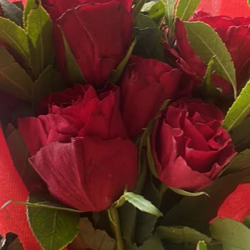 Çiçek Sepeti'nde İlgisizlik Ve Kalitesiz Ürün Sorunu