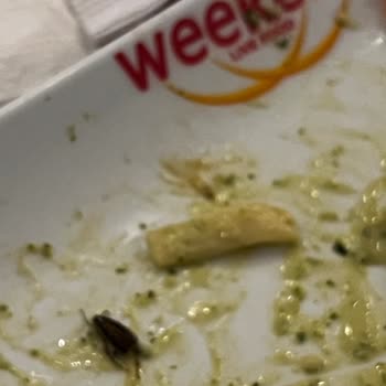 Cevahir AVM'de Hijyen Sorunu Ve Böcek Şikayeti