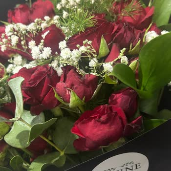 Lozine Flowers Hayal Kırıklığı Yaratan Gül Siparişi