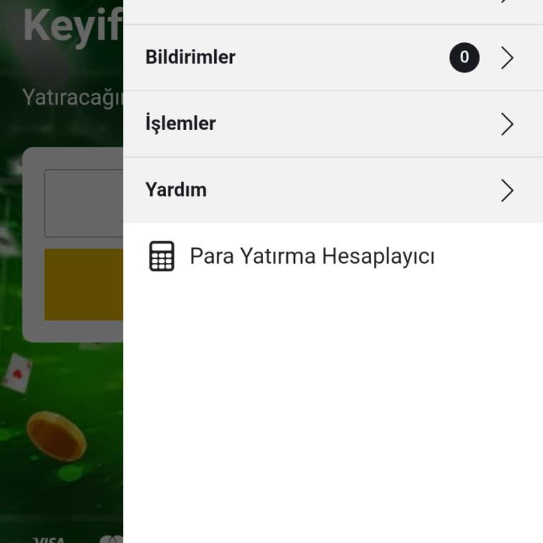 İzinsiz Giriş Sorunu