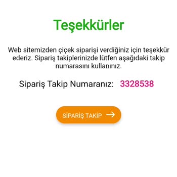 Teslimat Gecikmesi Ve İletişim Sorunu