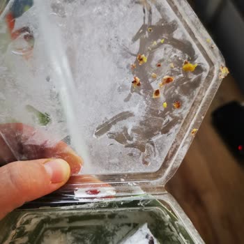 Koska Mahir Gıda Antep Fıstıklı Lokumda Sert Kabuk Sorunu