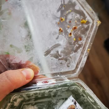 Koska Mahir Gıda Antep Fıstıklı Lokumda Sert Kabuk Sorunu